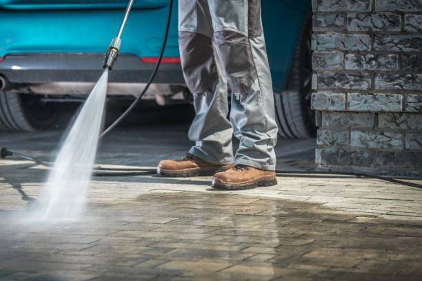 Professional Pressure Washing in Seminole Manor, FL