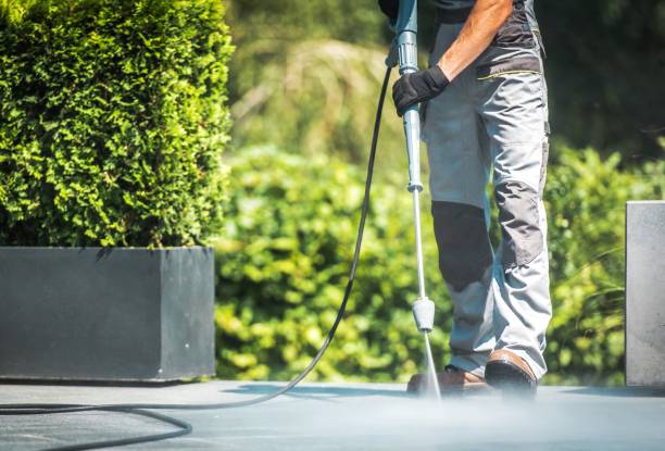 Best Driveway Pressure Washing  in Seminole Manor, FL