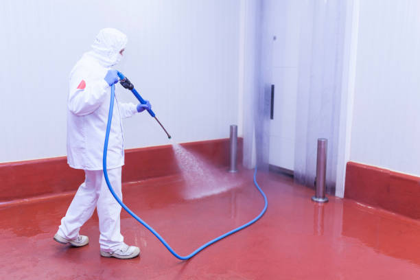 Best Oil Spill Cleanup  in Seminole Manor, FL